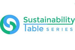 Experts discuss sustainability development